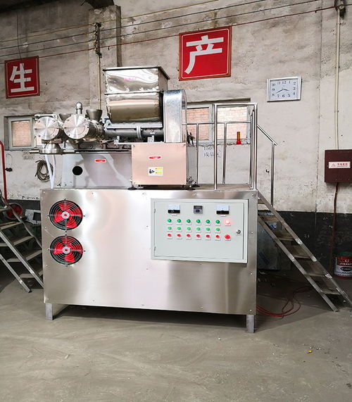 保山市多功能米線機性價比出眾源頭直供廠家 鞏義國銘機械